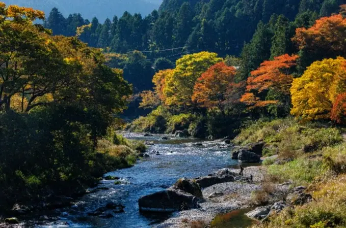東京近郊旅遊