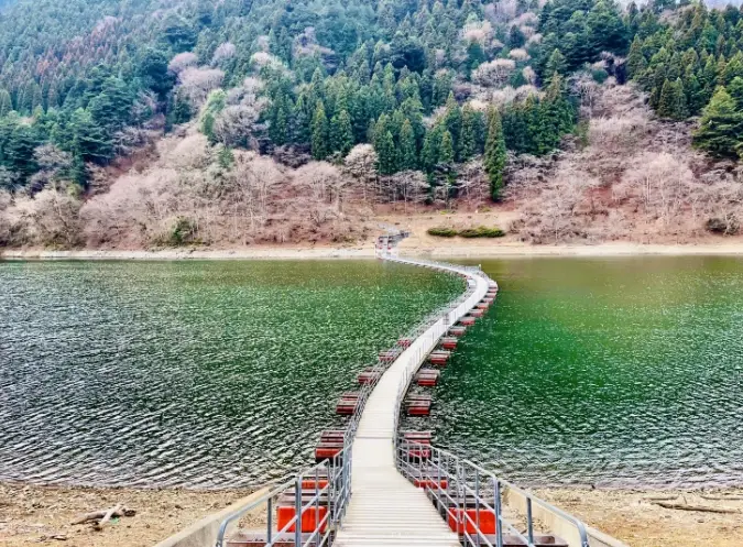 東京近郊旅遊