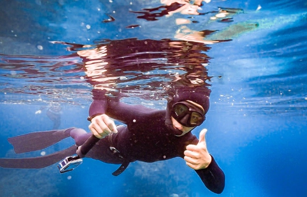 自由潛水考試準備 自由潛水考試準備