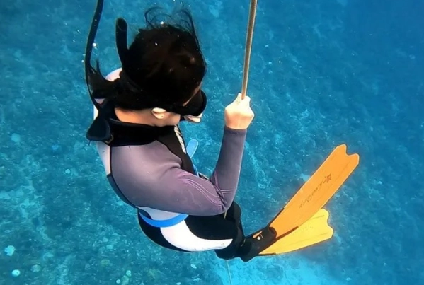 自由潛水考試準備 自由潛水考試準備