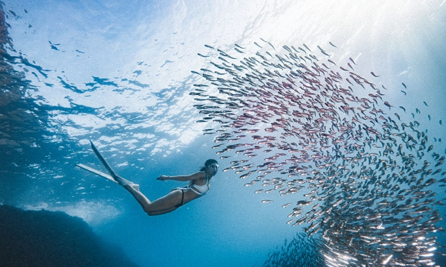 自由潛水筆試常見問題 自由潛水筆試常見問題