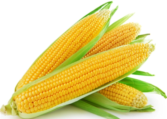 玉米蒸煮技巧 玉米蒸煮技巧