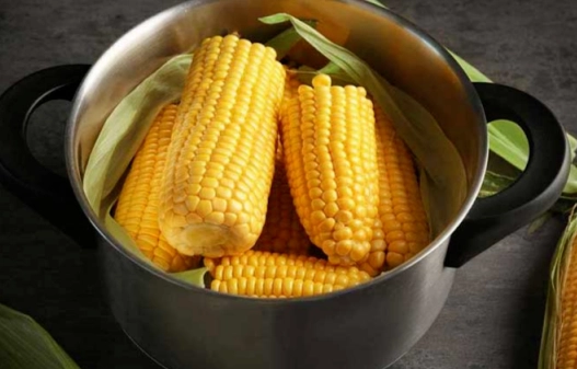 蒸玉米時間 蒸玉米時間