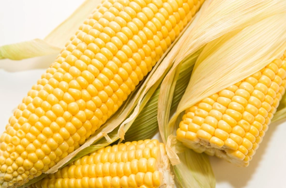 玉米蒸煮技巧 玉米蒸煮技巧