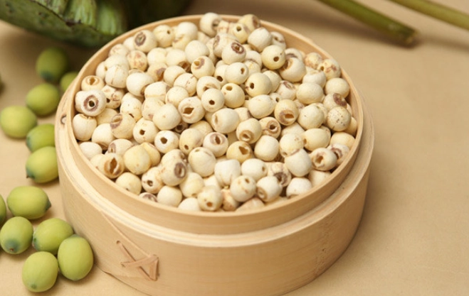 蓮子生長週期觀察