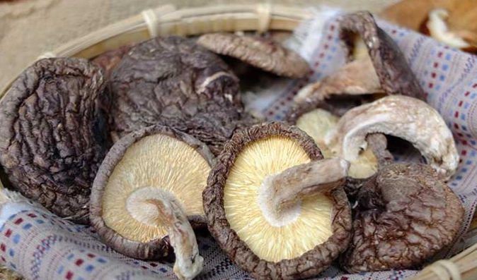 如何挑選乾香菇 如何挑選乾香菇