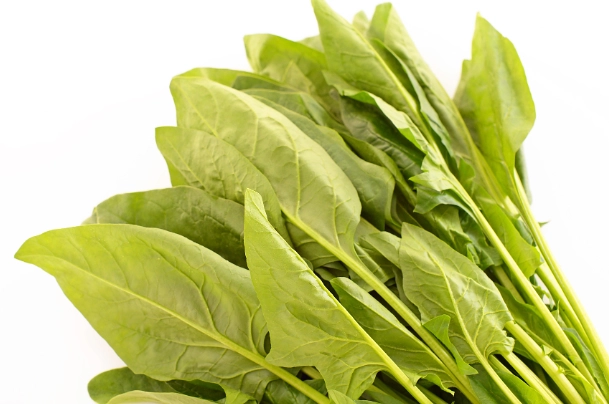 甜菠菜禁忌全解析：誰不該吃？如何避免健康風險？