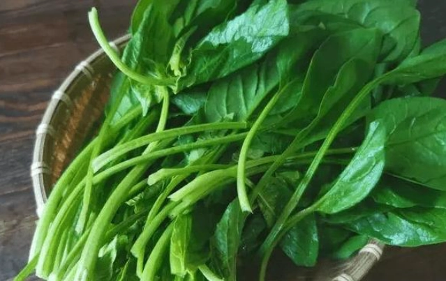 甜菠菜食用注意