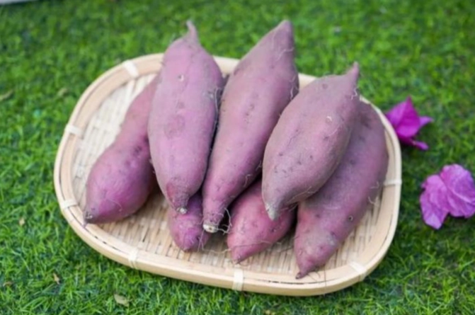 地瓜烹飪技巧 地瓜烹飪技巧