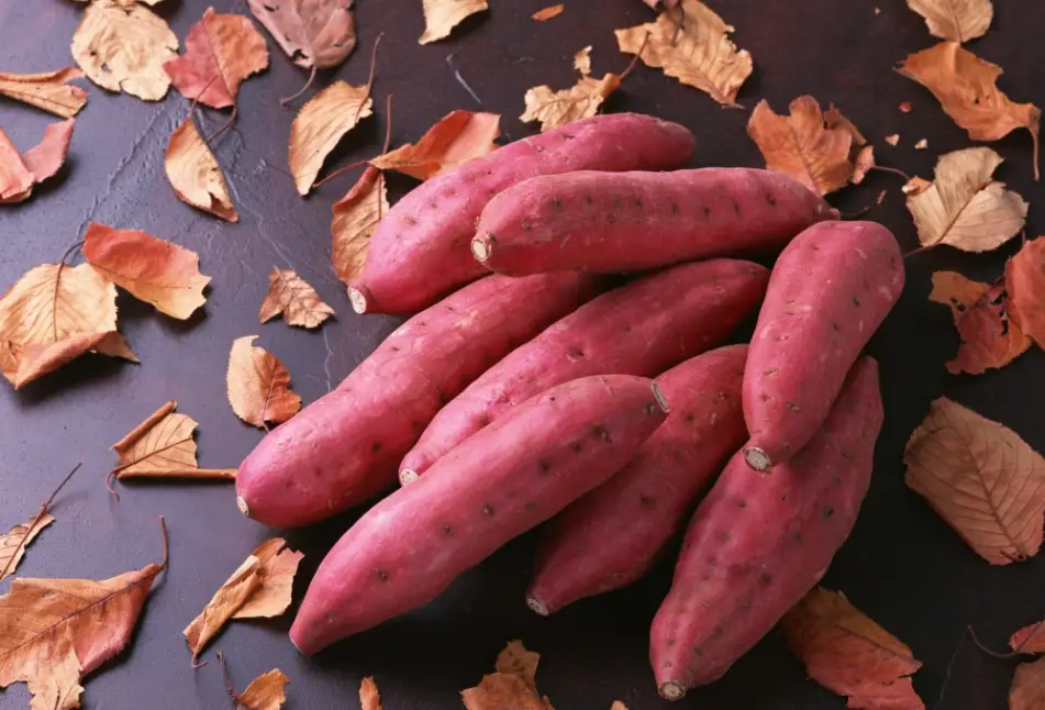 吃地瓜健康益處 吃地瓜健康益處