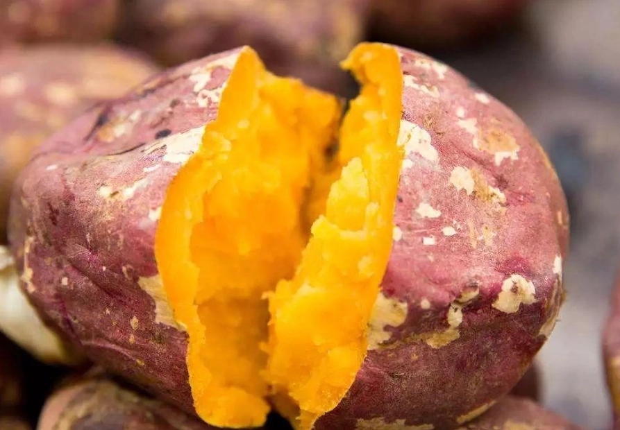 地瓜營養價值 地瓜營養價值