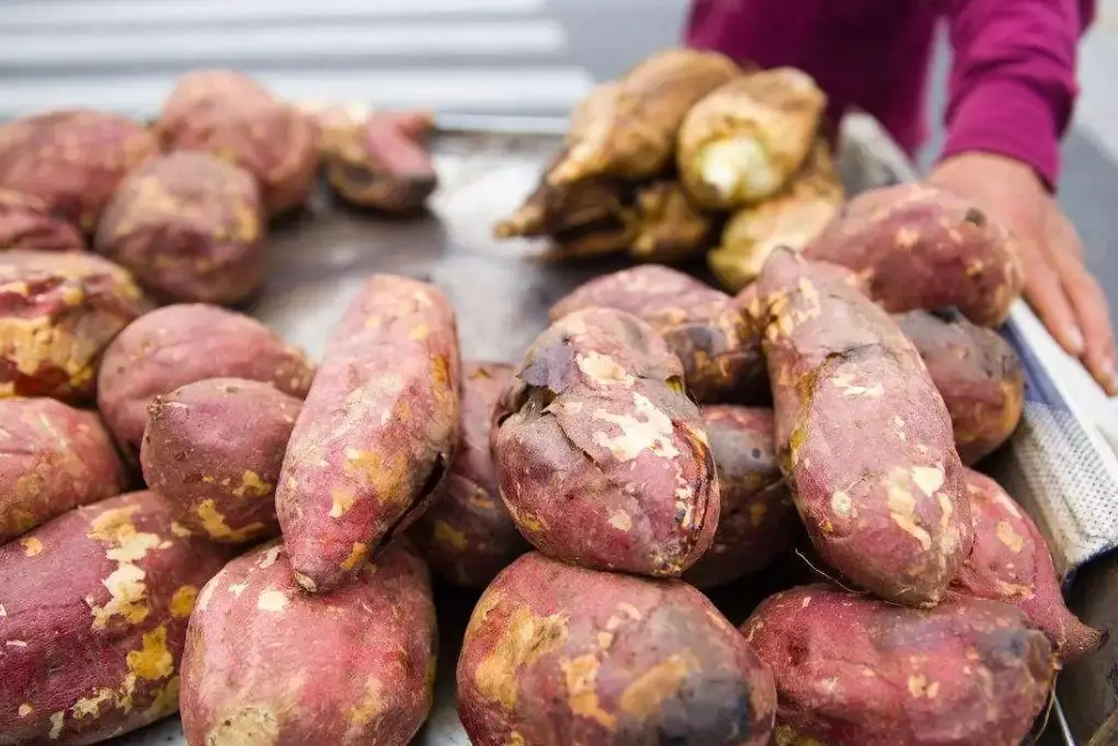 地瓜好處 地瓜好處