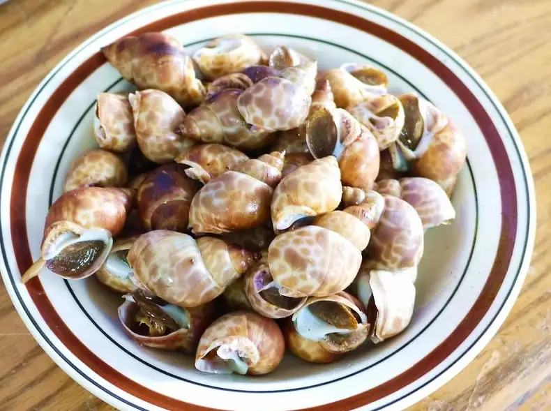 胡椒鳳螺作法全攻略：從挑選到烹煮的專家秘訣與常見錯誤解析