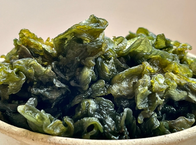 雨來菇禁忌 雨來菇禁忌