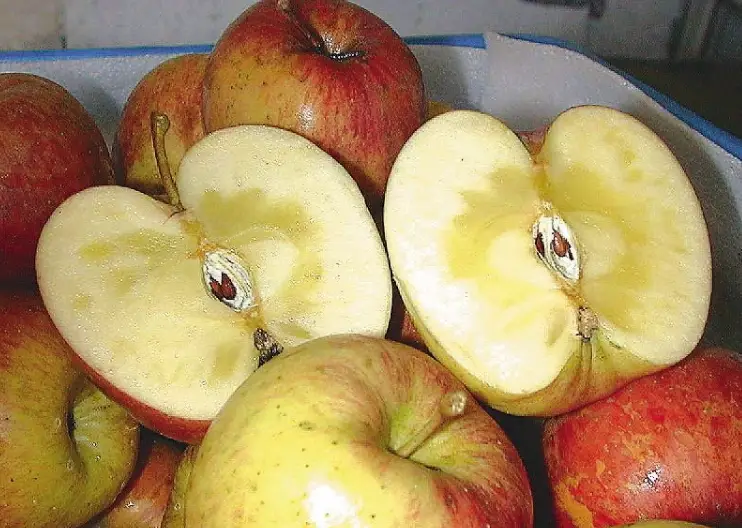 蘋果泥保存方法