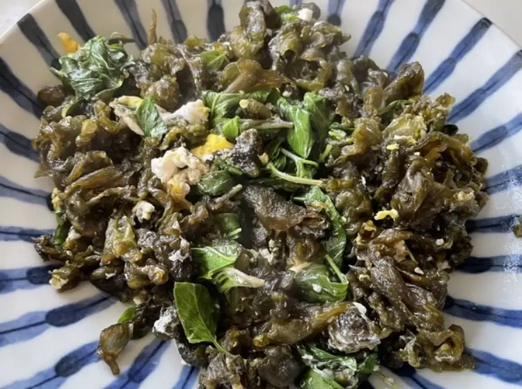 雨來菇炒蛋餐廳 雨來菇炒蛋餐廳