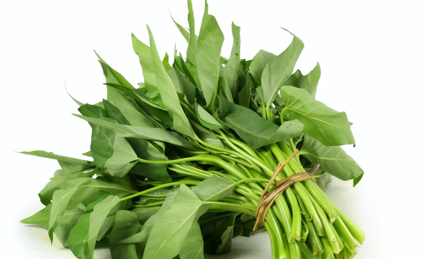 空心菜營養價值