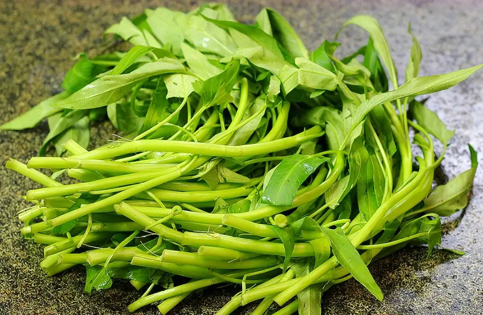 泰國空心菜做法