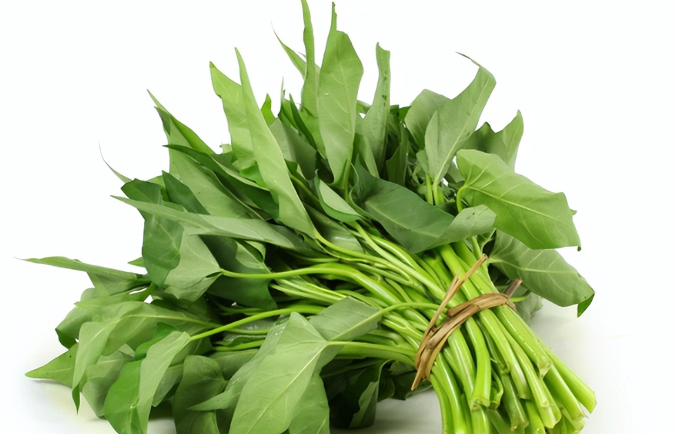 泰國空心菜怎麼炒