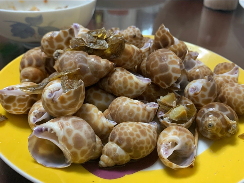 鳳螺食譜 鳳螺食譜