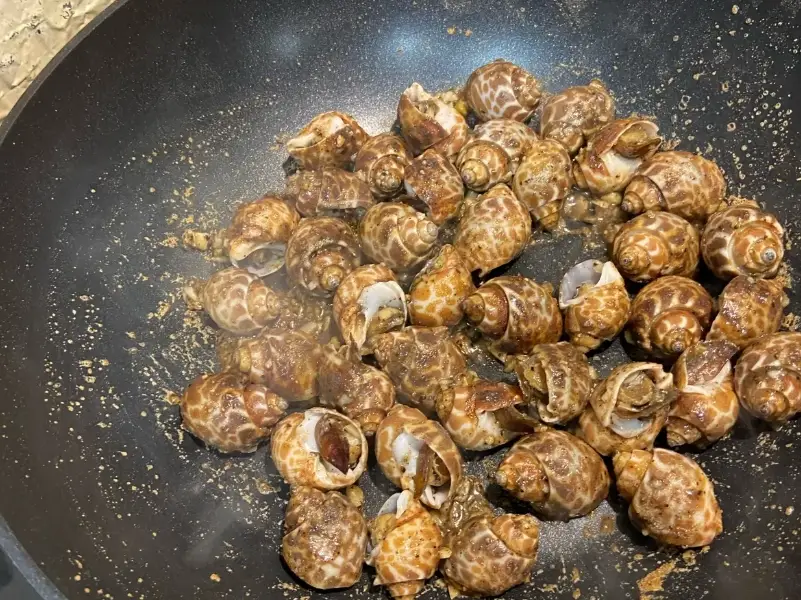 水煮鳳螺食譜 水煮鳳螺食譜