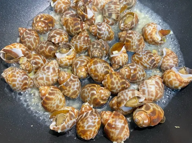 水煮鳳螺做法 水煮鳳螺做法