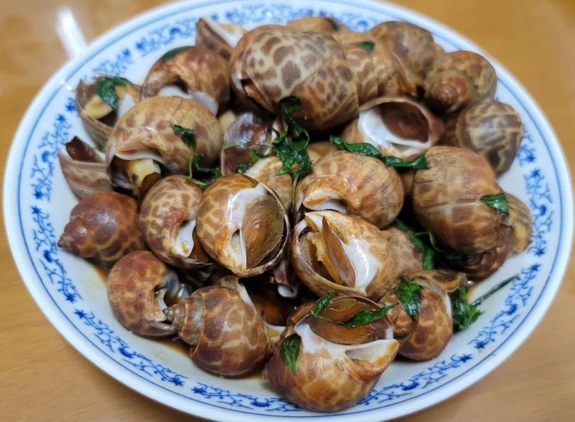 水煮鳳螺做法 水煮鳳螺做法