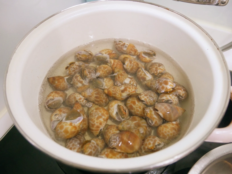 水煮鳳螺食譜 水煮鳳螺食譜