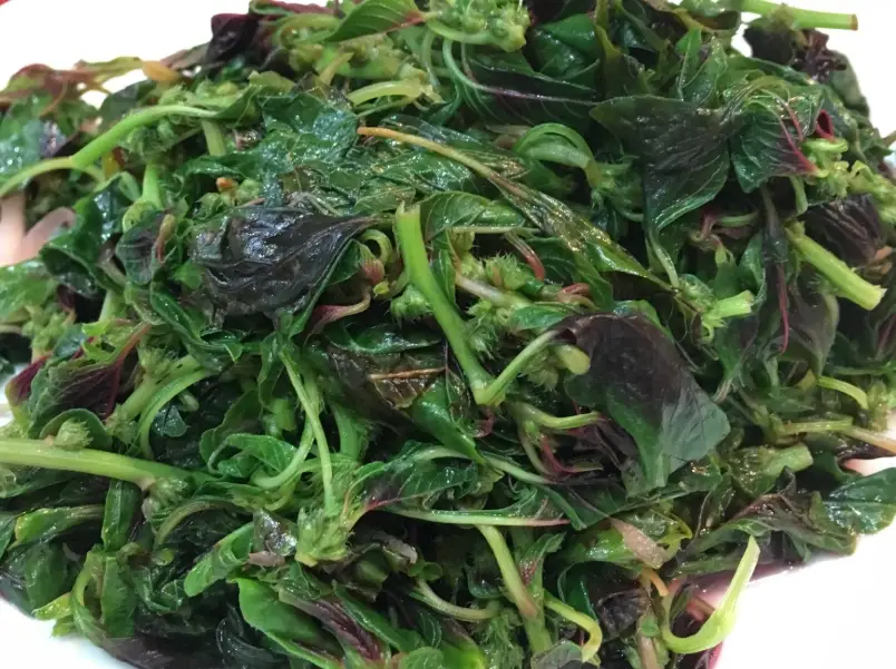 紅鳳菜食譜