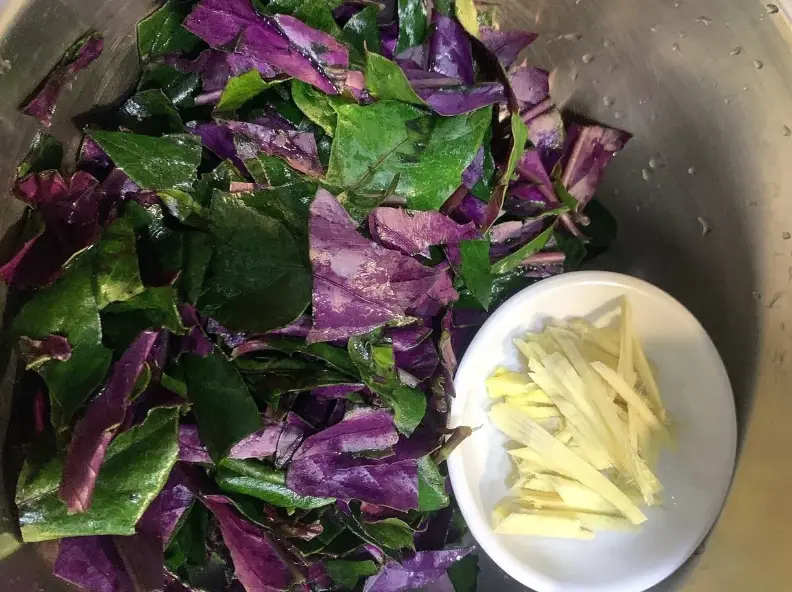 紅鳳菜黑掉 紅鳳菜黑掉