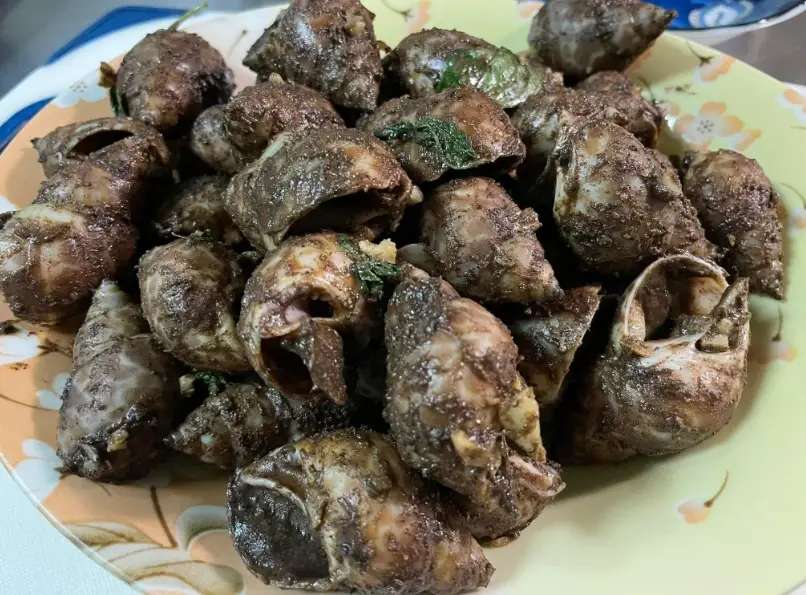 熱炒胡椒鳳螺 熱炒胡椒鳳螺
