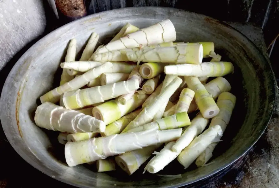 筍乾料理 筍乾料理