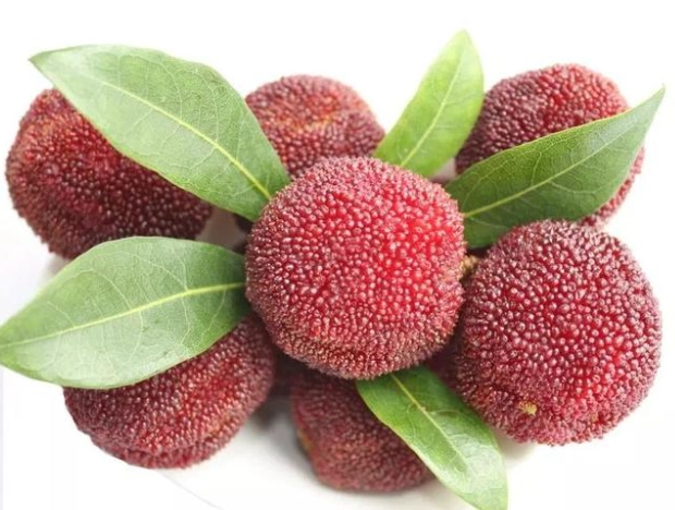 楊梅伴手禮 楊梅伴手禮