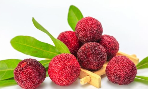 桃園楊梅美食 桃園楊梅美食