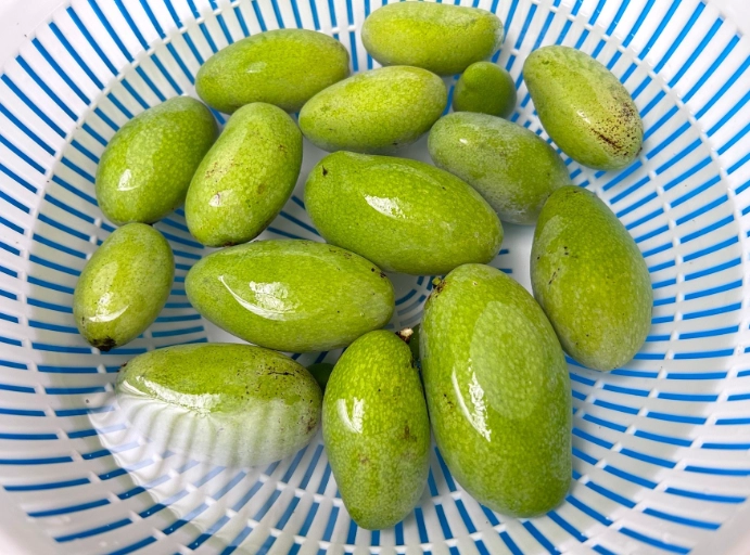 青芒果楊桃食譜