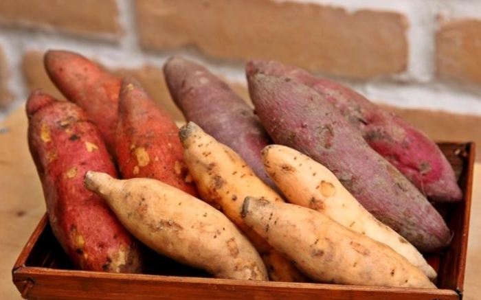 地瓜食用方法 地瓜食用方法