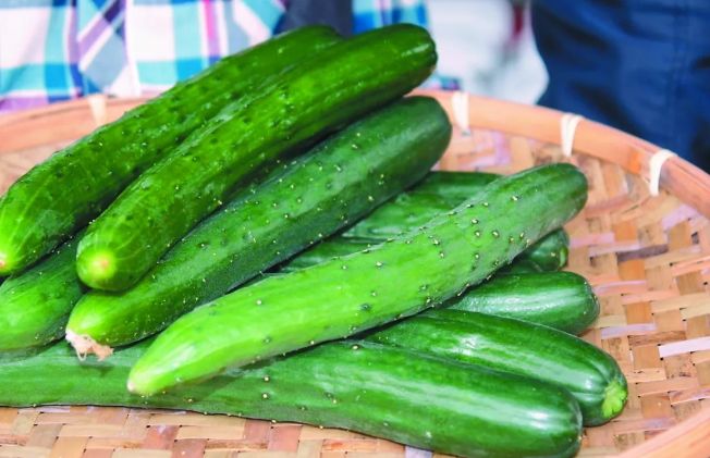 健康食譜 健康食譜