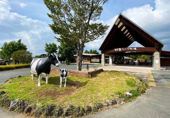 阿蘇牛奶牧場 體驗