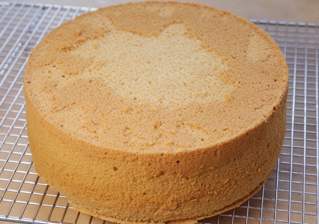 在家做蛋糕新手