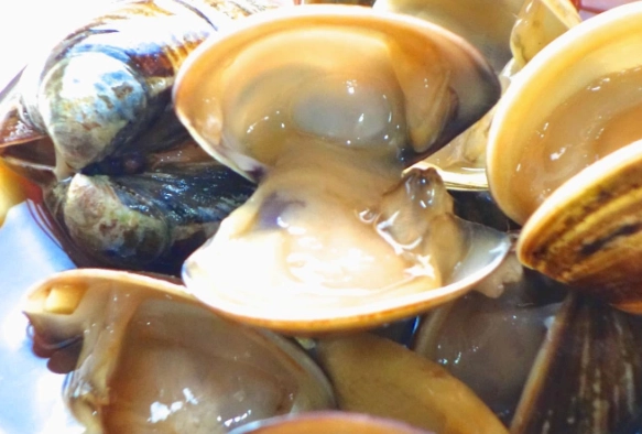 醃蛤蜊 做法