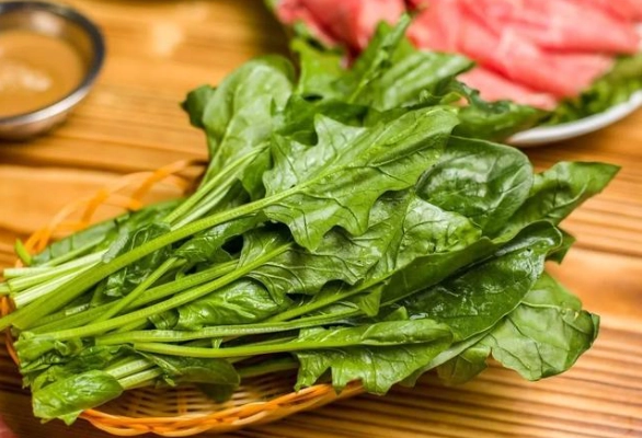 菠菜一天吃多少才健康？營養師教你正確攝取量與注意事項