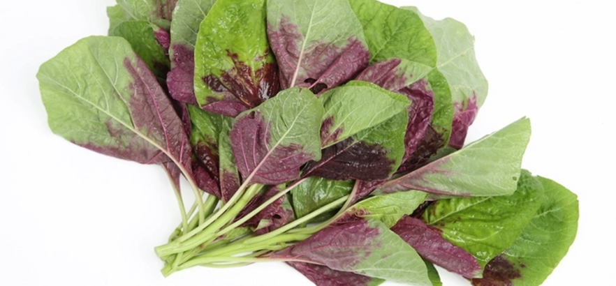 紅莧菜營養成分